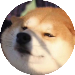一只总柴